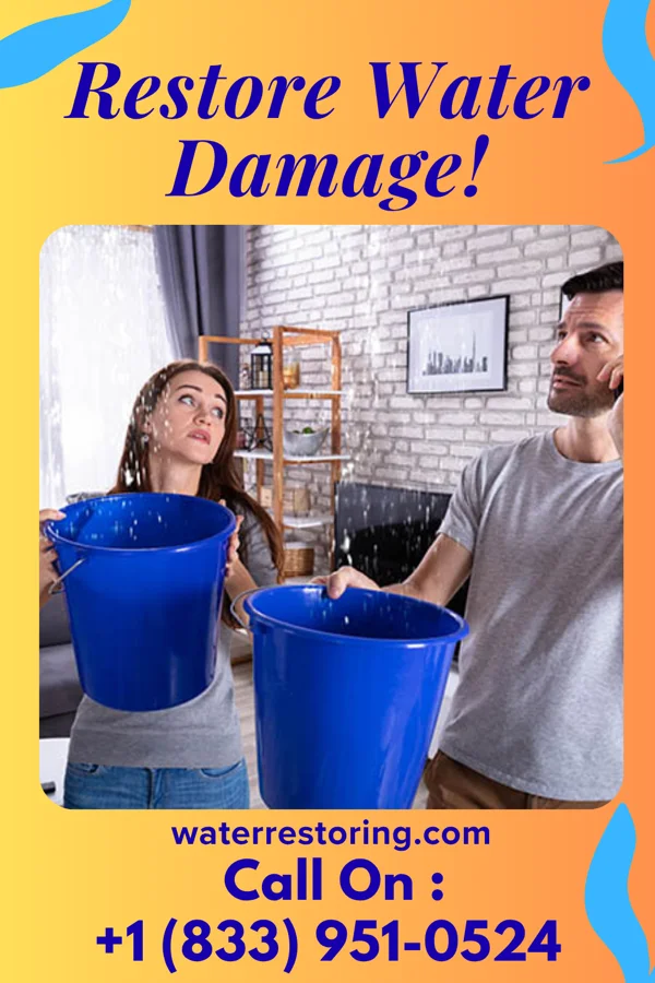 water restoration Rapid Sewage Cleanup Services Ashland